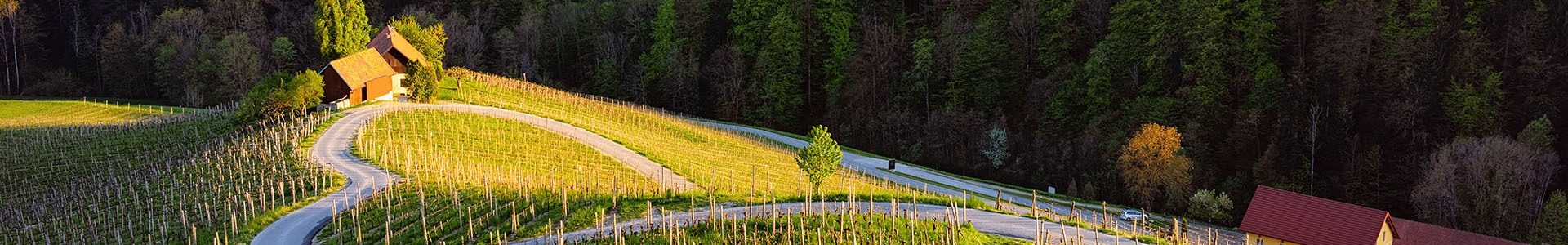 be wine header5