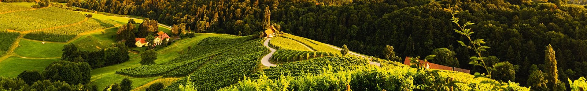 be wine header6