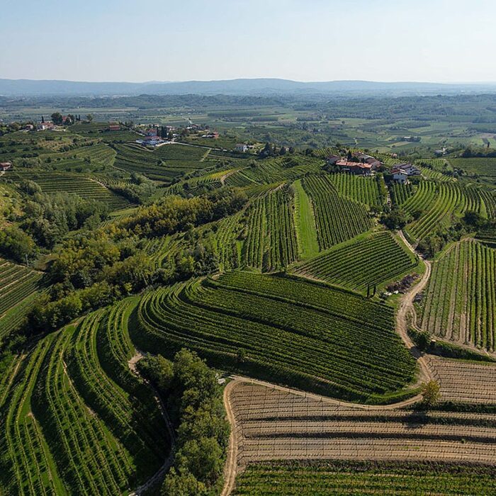 2marjan simcic wines bewines