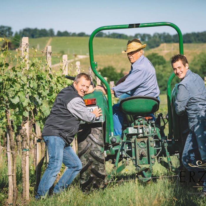 3erzetic wines bewines
