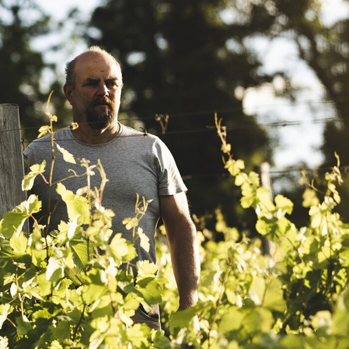 1stemberger wines bewines