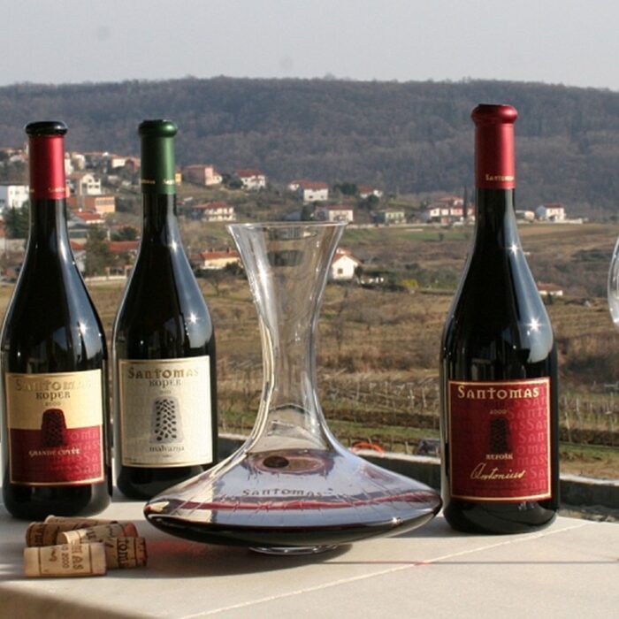 2santomas wines bewines