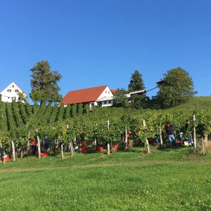 1hlade wines bewines