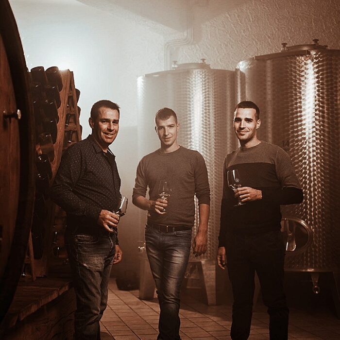 3domacija bizjak wines bewines