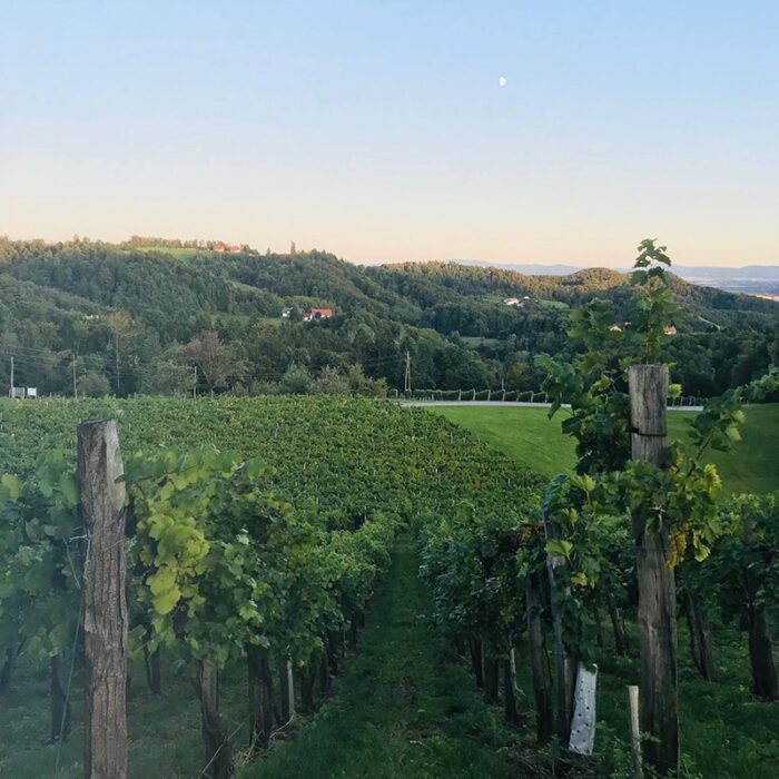 3hlade wines bewines