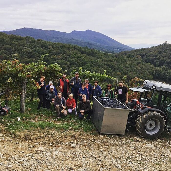 4domacija bizjak wines bewines