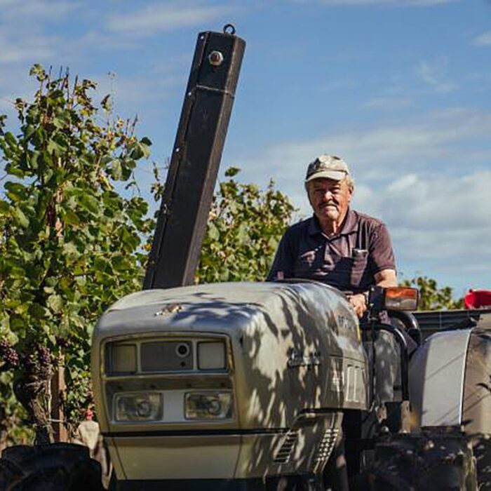 2buzinel wines bewines
