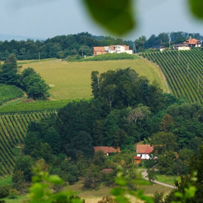2steyer wines bewine