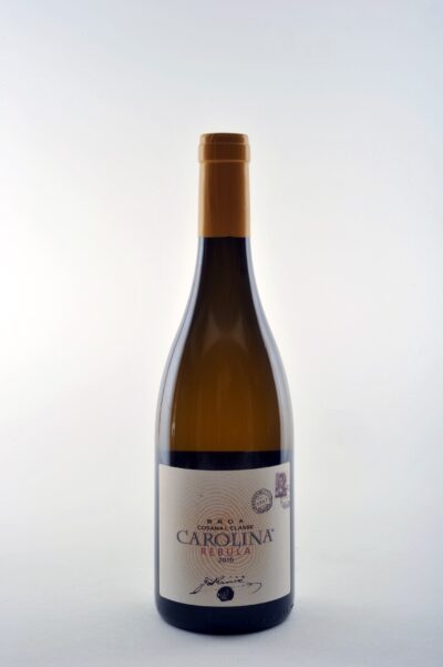 carolina rebula jakoncic be wines