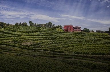 winery of the month