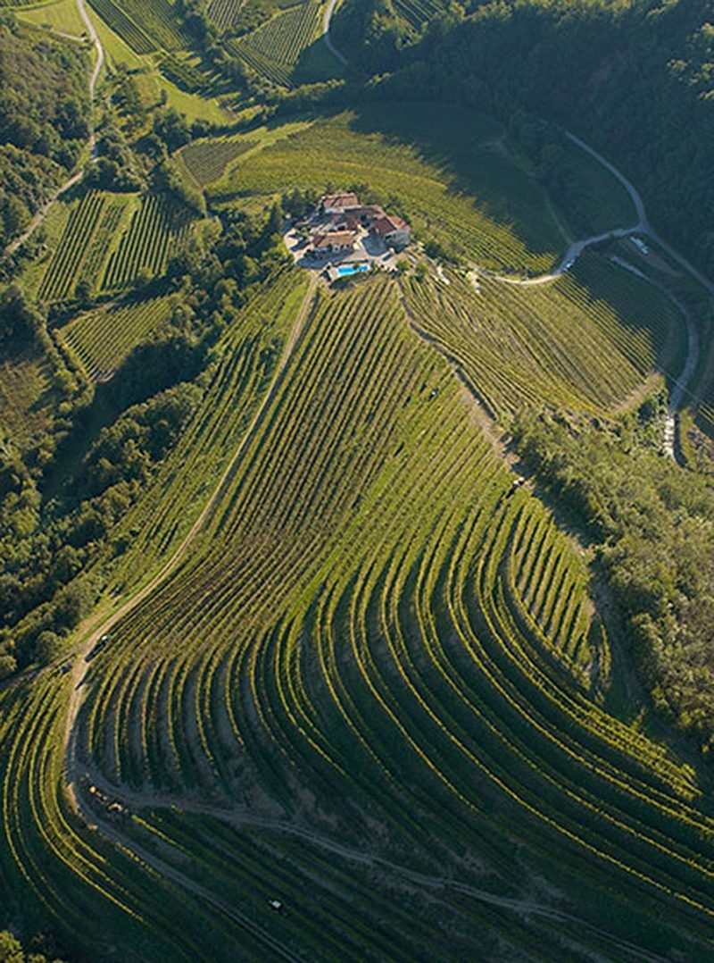 2carga wines bewine