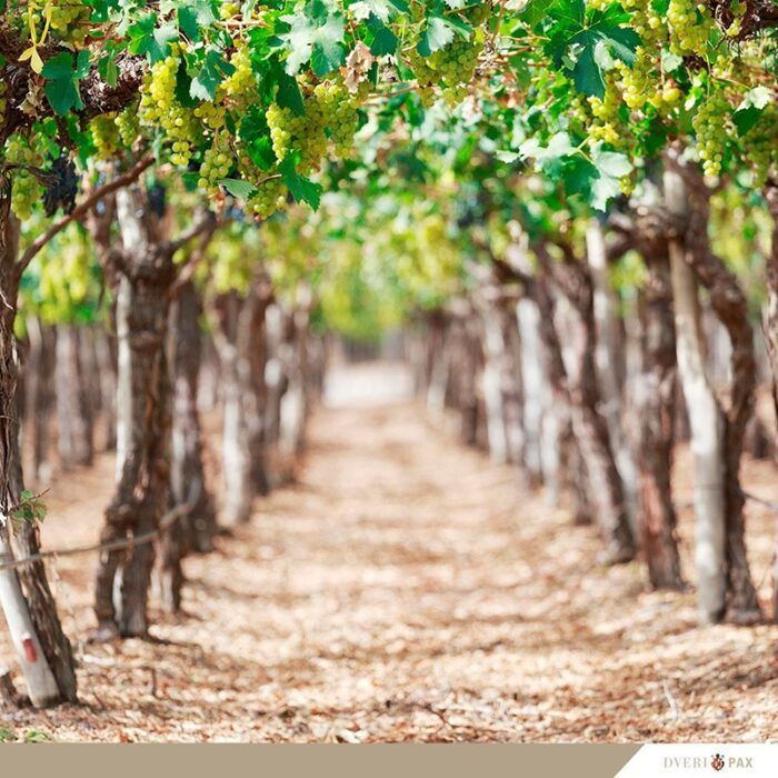 2dveri pax wines bewine