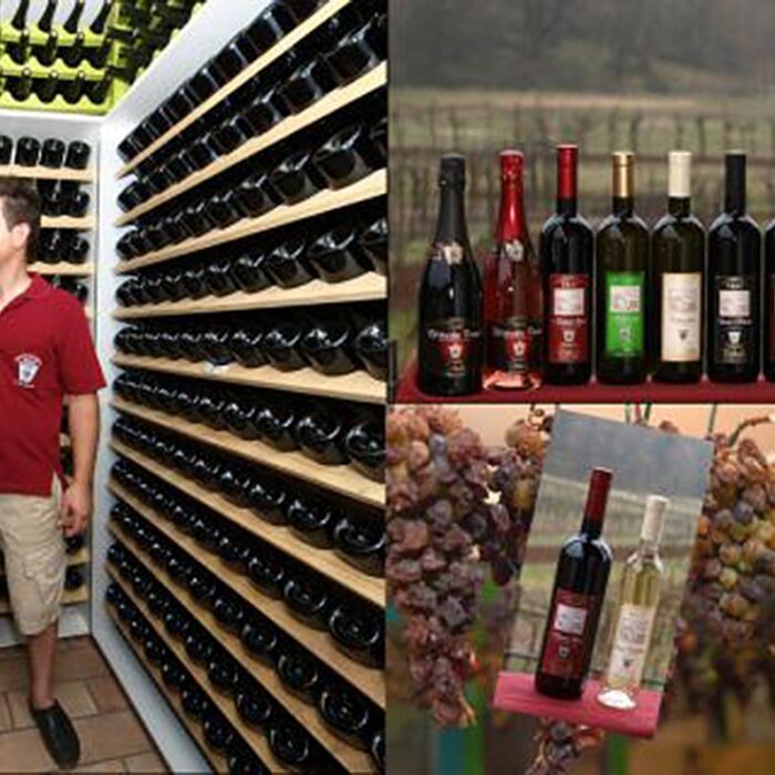 4rebula wines bewines