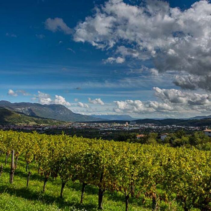 2la castellada wines bewines 1