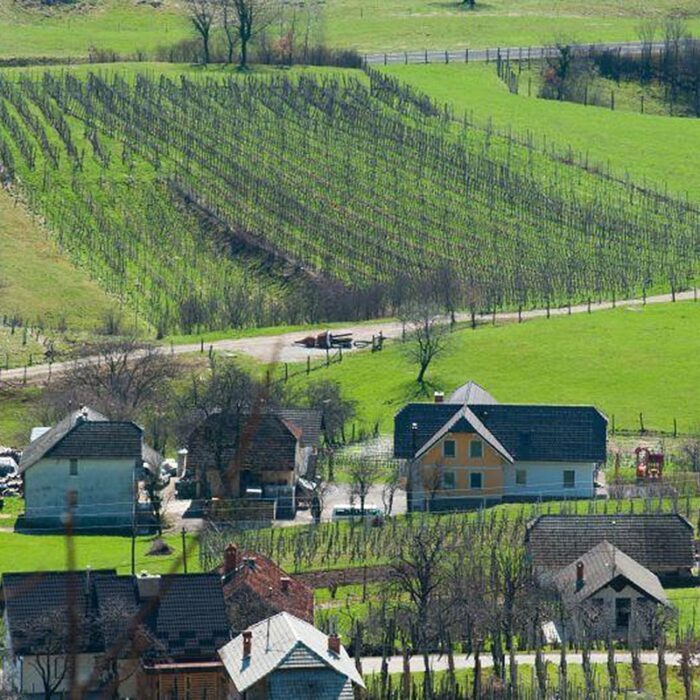 2malnaric wines bewines