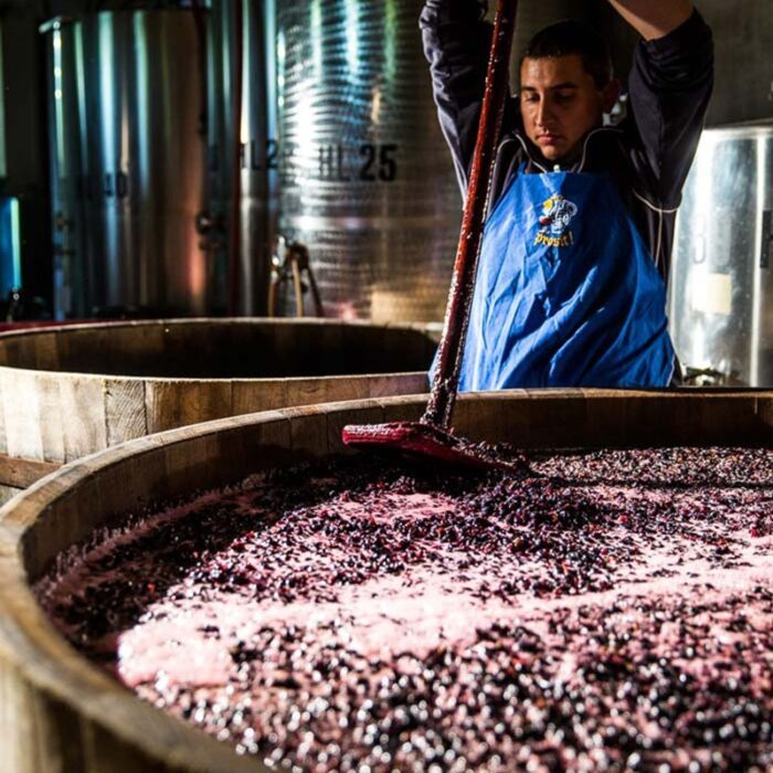 3la castellada wines bewines