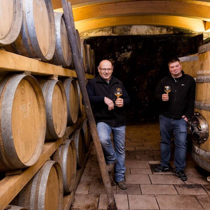 3radikon wines bewines