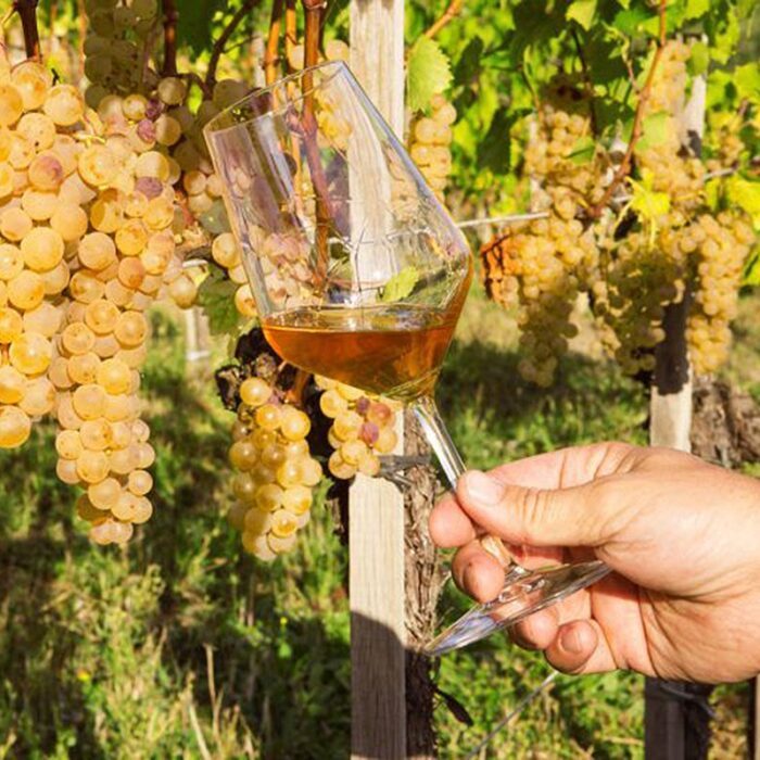 4draga miklus wines bewines