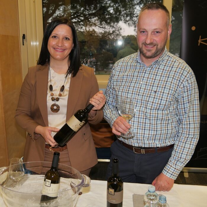 1vinales wines bewine