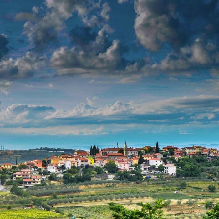 2vinales wines bewine