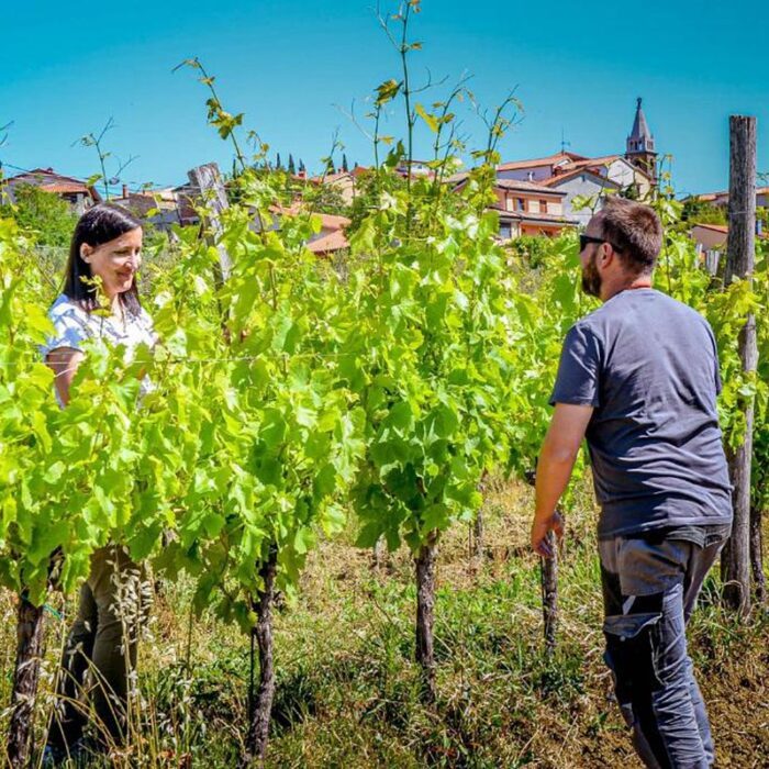 3vinales wines bewine