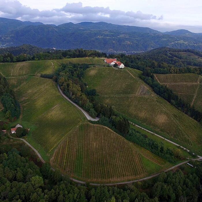 1meranovo be wines