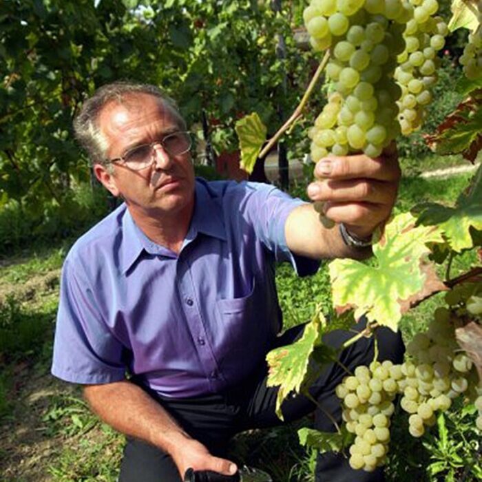 1persolja wines bewines