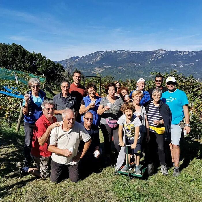 1sveti martin wines bewines