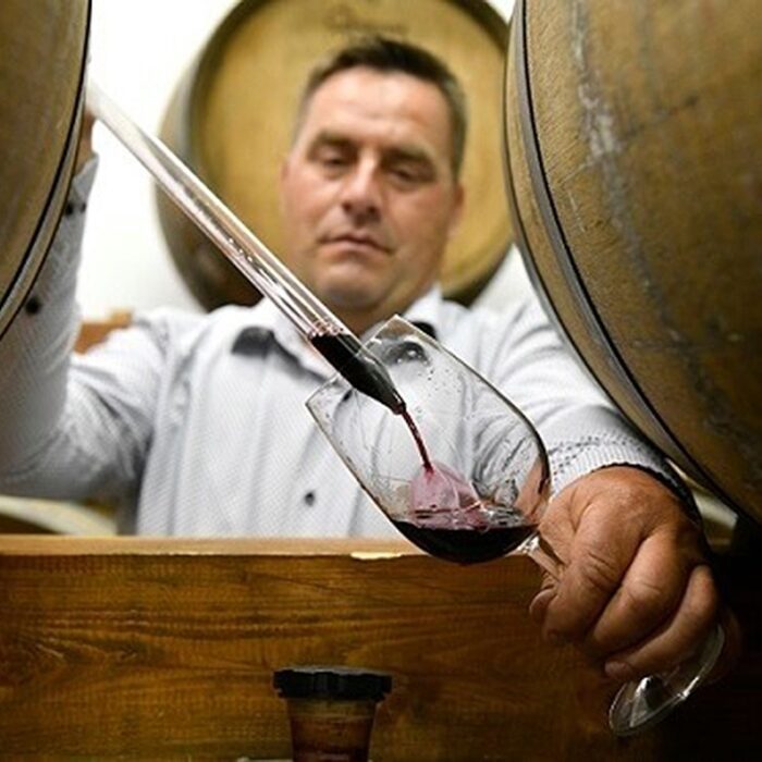 2deadami zaloscan wines bewines