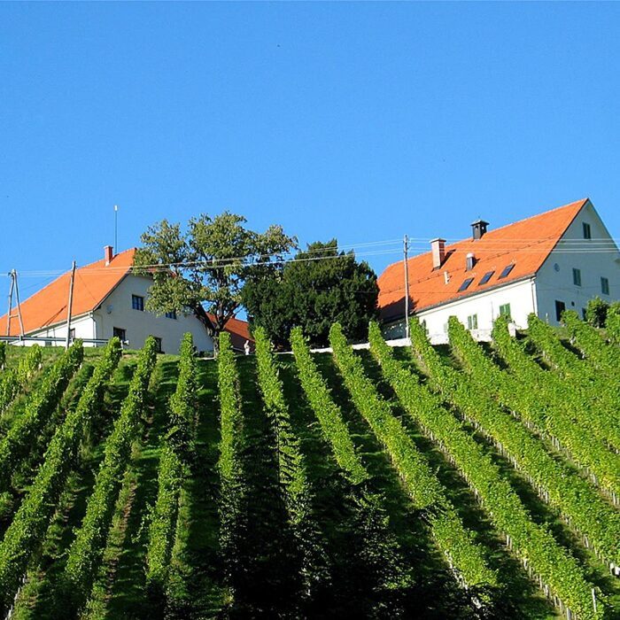 2meranovo be wines