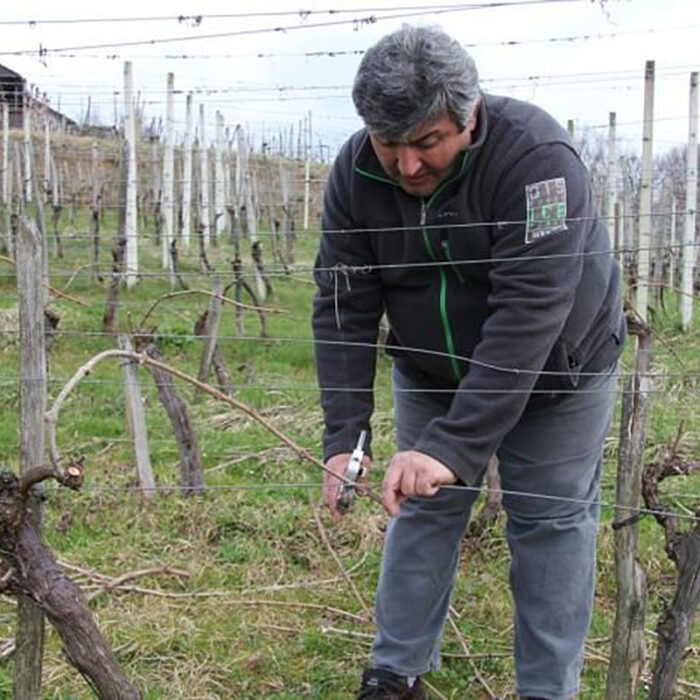 2ajster pekel wines bewines