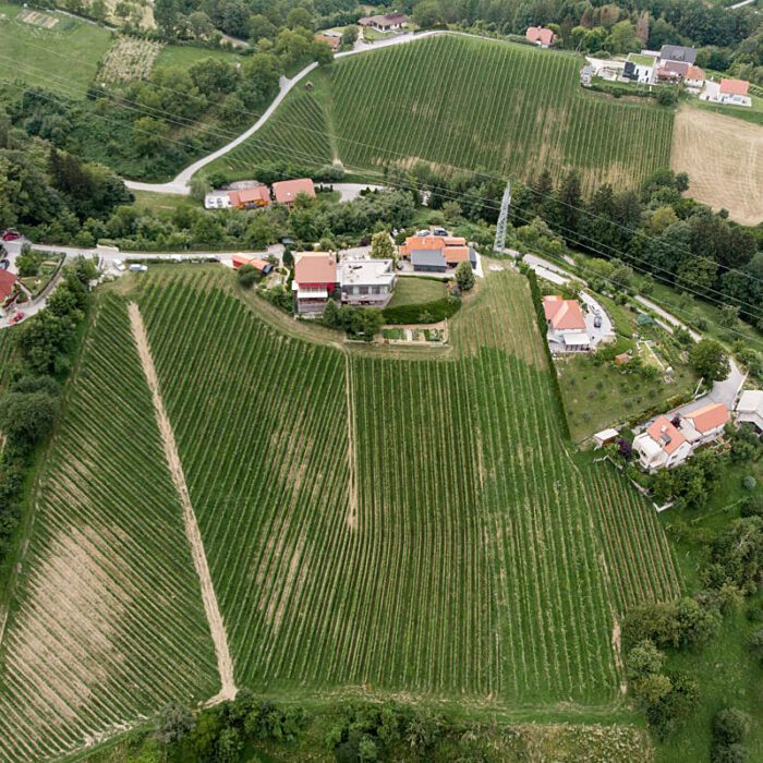 2sanctum wines bewines