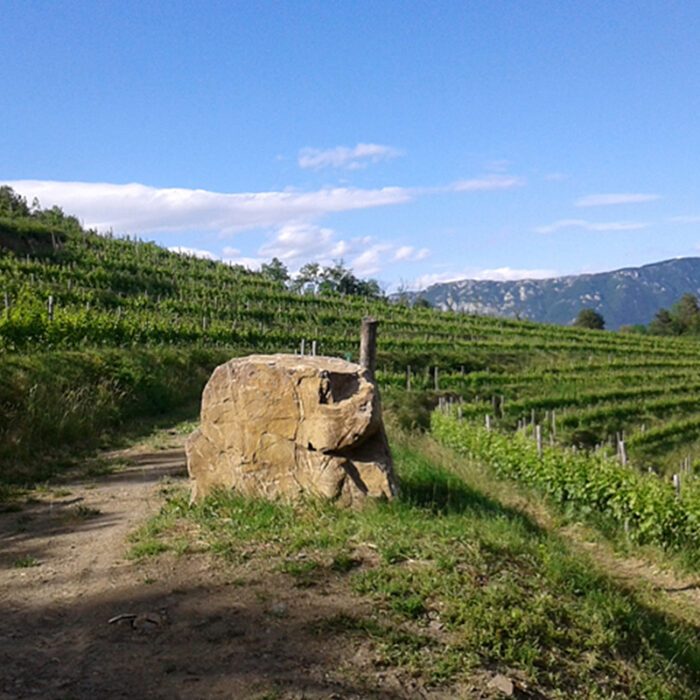 3hedele wines bewines
