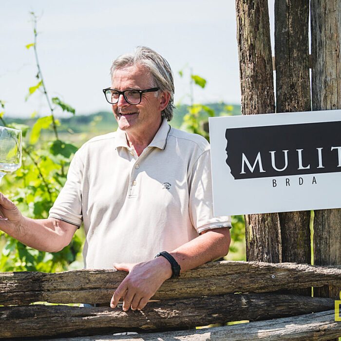 4mulit wines bewines