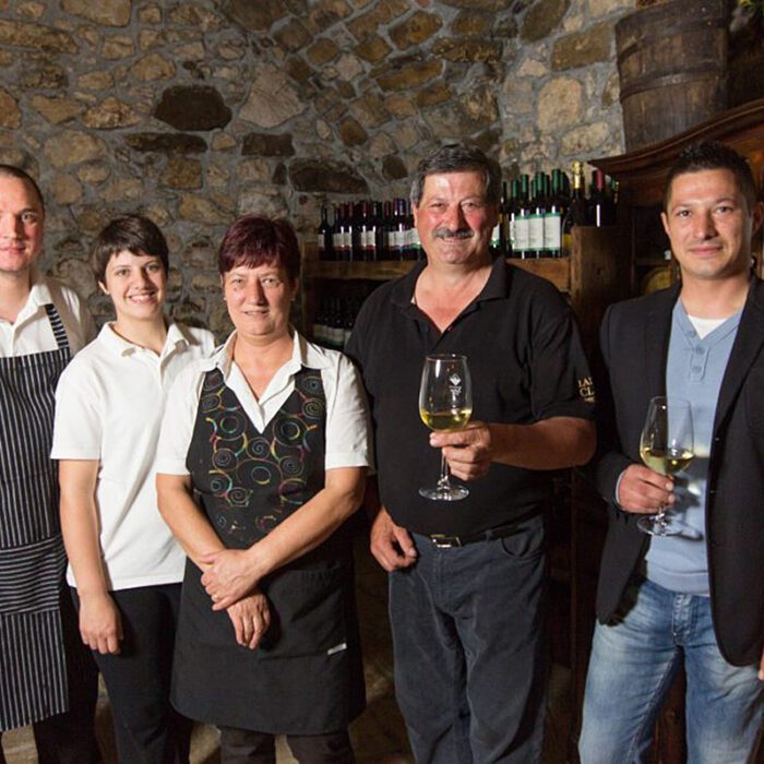 1cigoj wines bewines