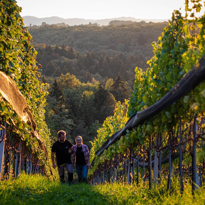 1arret wines bewines