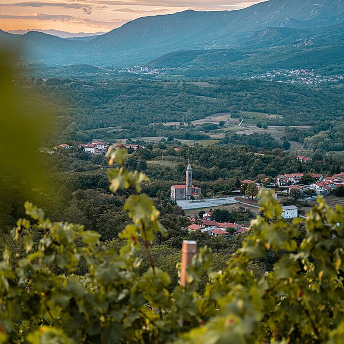 2mihelj wines bewines