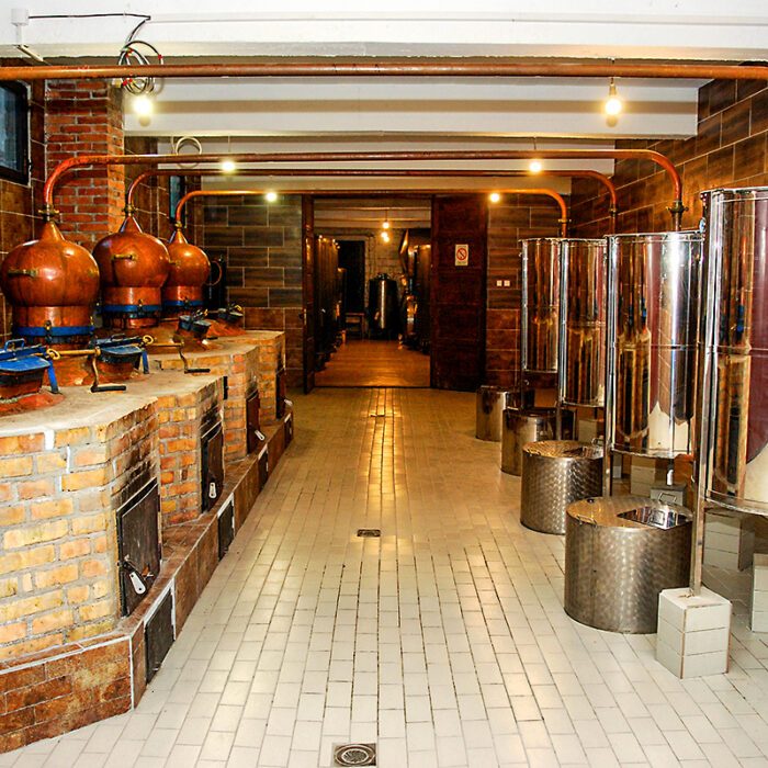 3stara pesma rakija brandy bewines