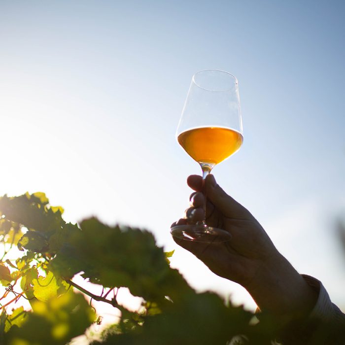 4alojz murenc wines bewine