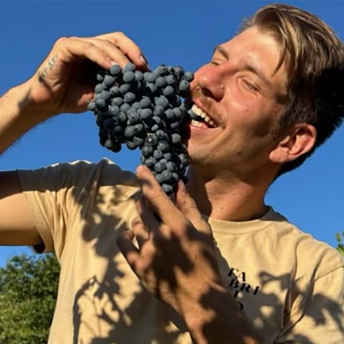 1fabricijo wines bewine 2