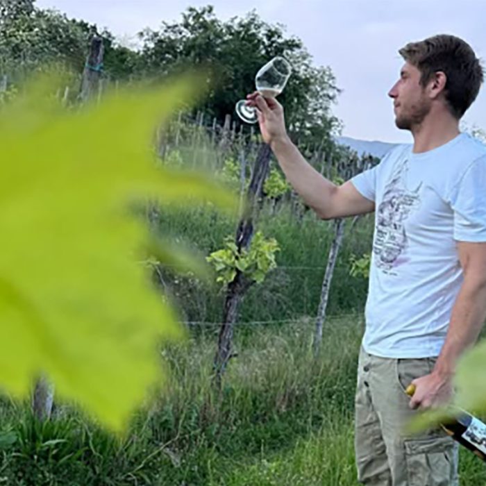 3fabricijo wines bewine 1