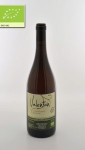 chardonnay valentan be wines 2