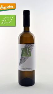 malvazija guerila be wines 1