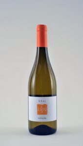 malvazija ussai be wines
