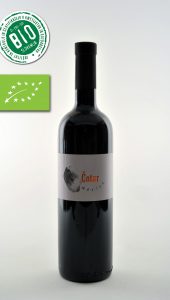 merlot cotar be wines