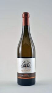 pavo chardonnay kristancic be wines