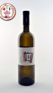 sauvignon 2019 poljsak be wines