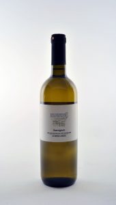 sauvignon mavric be wines