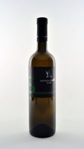 sauvignonasse patrick simcic be wines